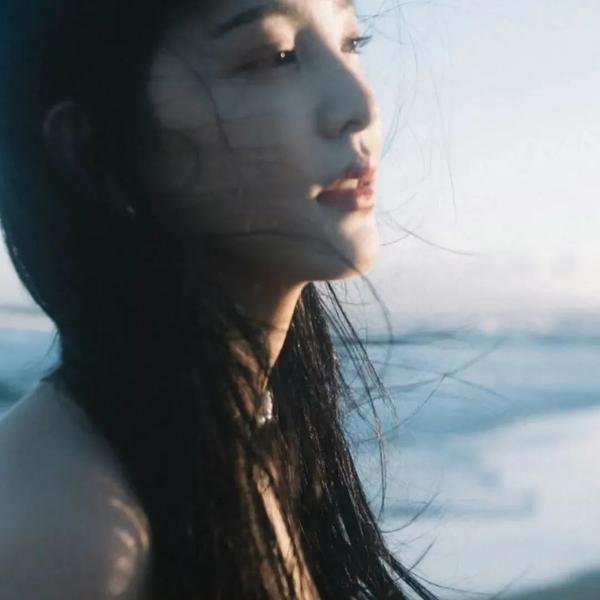 宫本武藏：双剑飞驰之梦海报